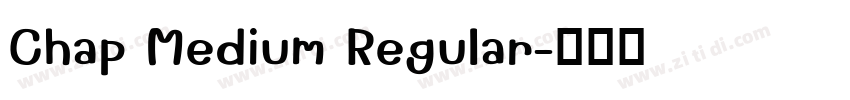 Chap Medium Regular字体转换